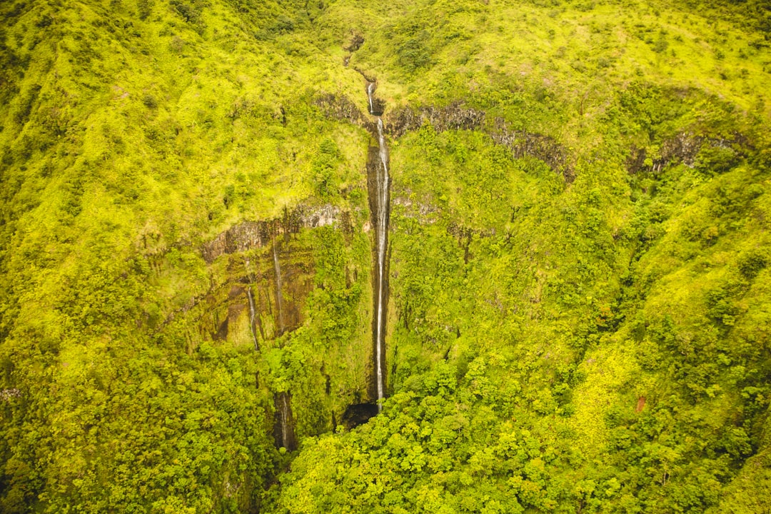 aerial view of mountain