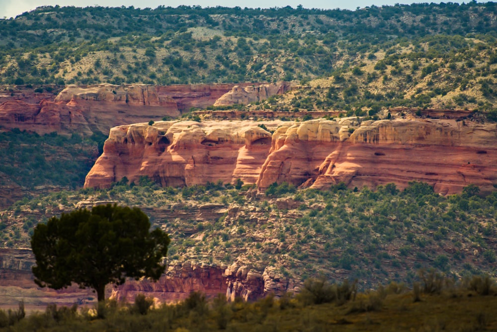 landscape photo of hills and trees