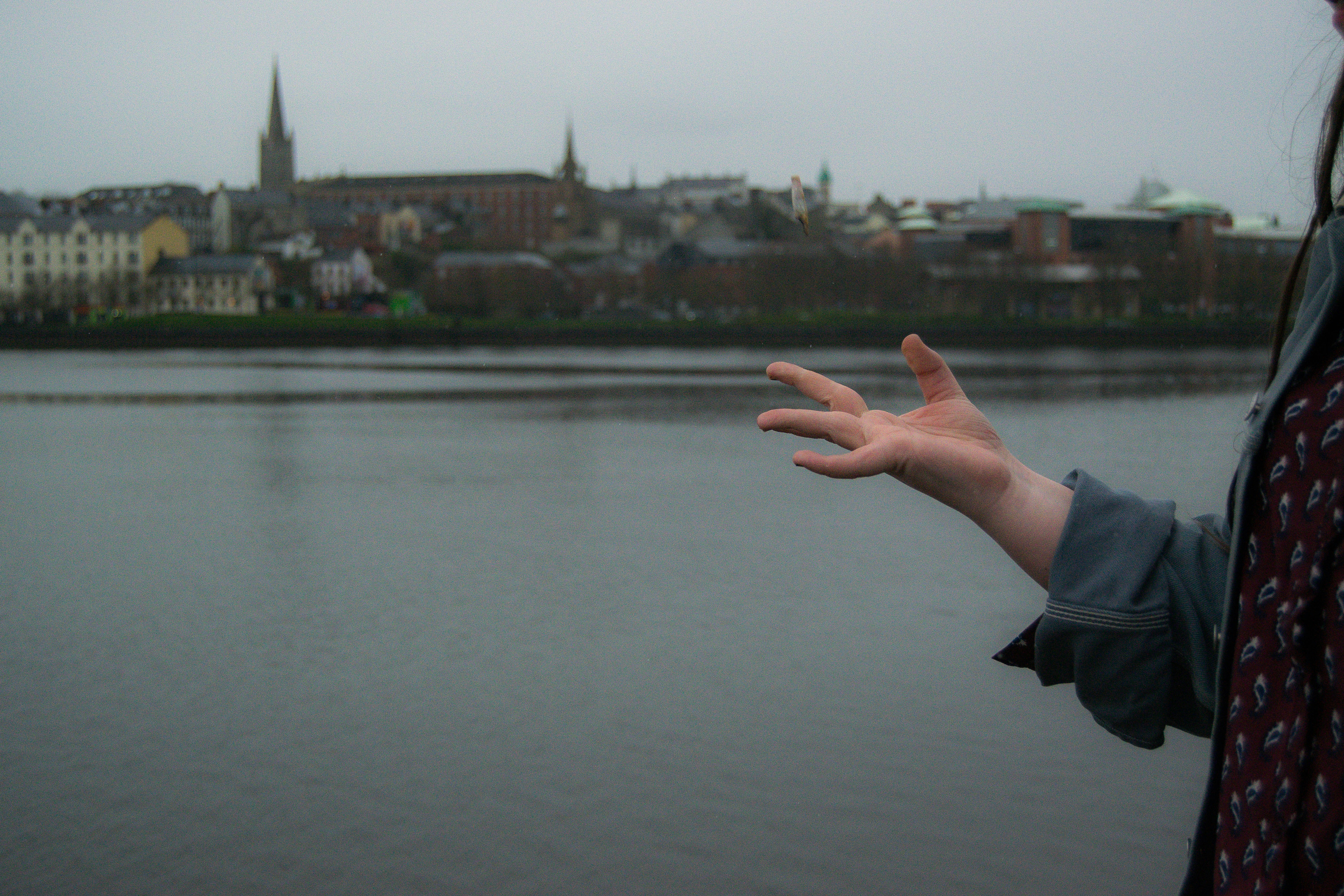 Free Unsplash photo from Joseph McCrea