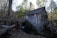 A rustic wooden water mill is situated in a forested area, surrounded by tall trees and a natural setting. The mill has weathered wood and a large, moss-covered water wheel. Sunlight filters through the branches, casting gentle shadows and highlighting the textures of the wood.