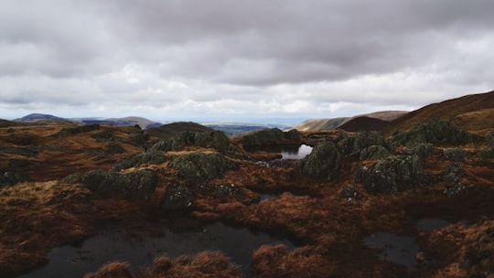 brown and black mountain at daytime in Angle Tarn United Kingdom