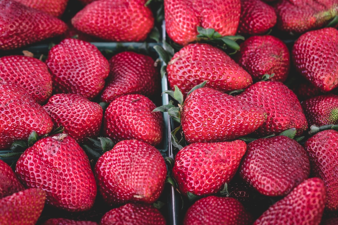 red strawberry fruits