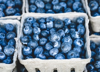 blueberries fruit