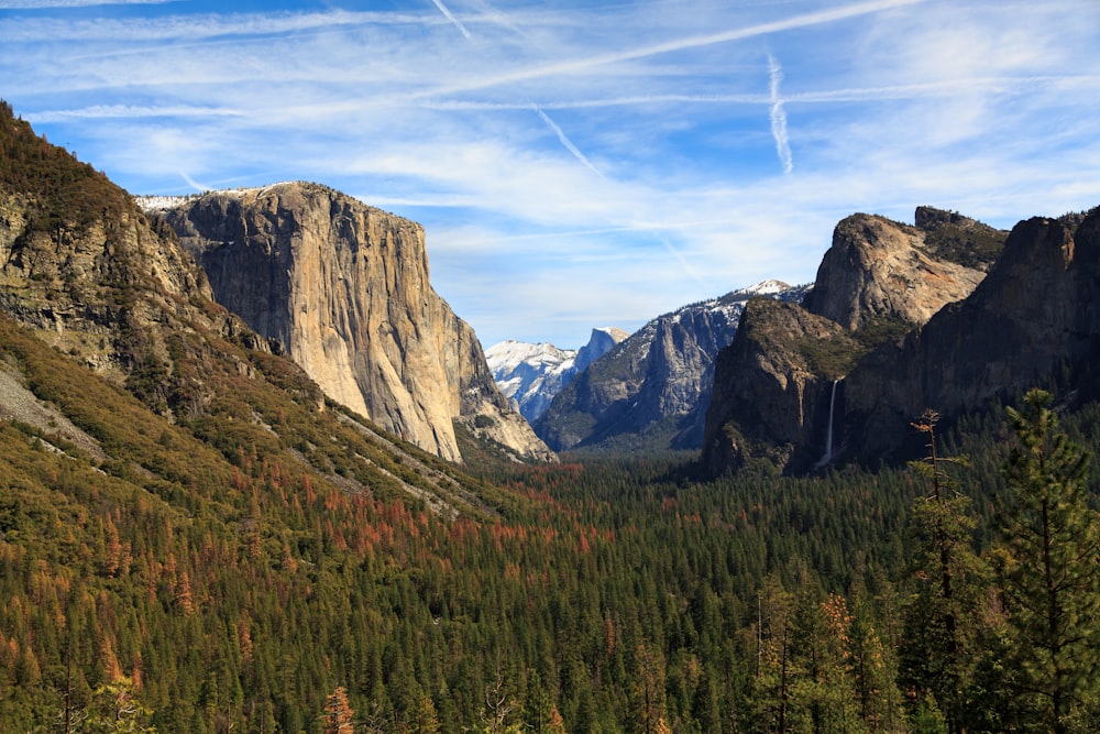 green trees between mountains at daytime