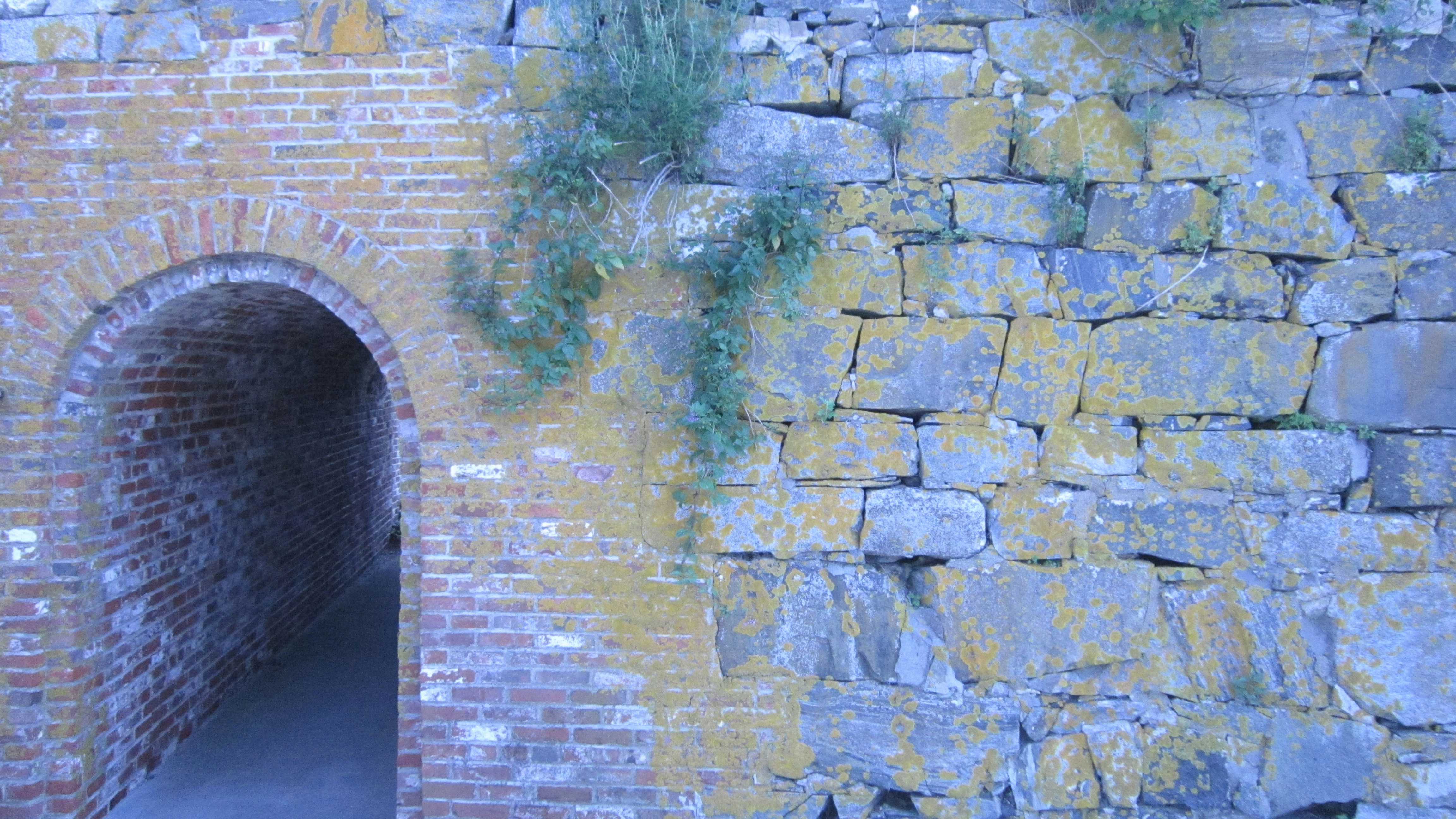 Free Unsplash photo from Arthur Hastings