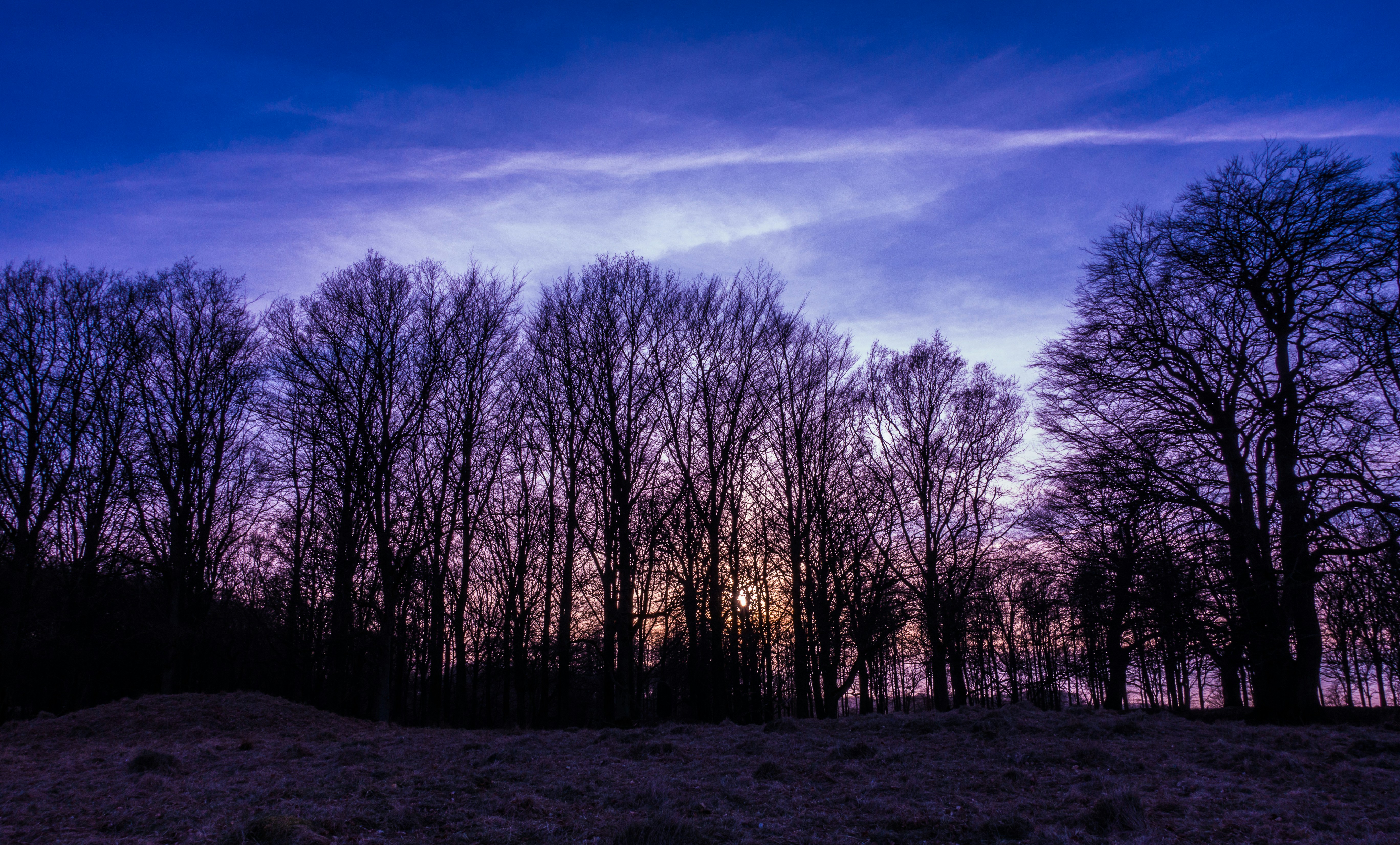 Free Unsplash photo from Nicolas Hason