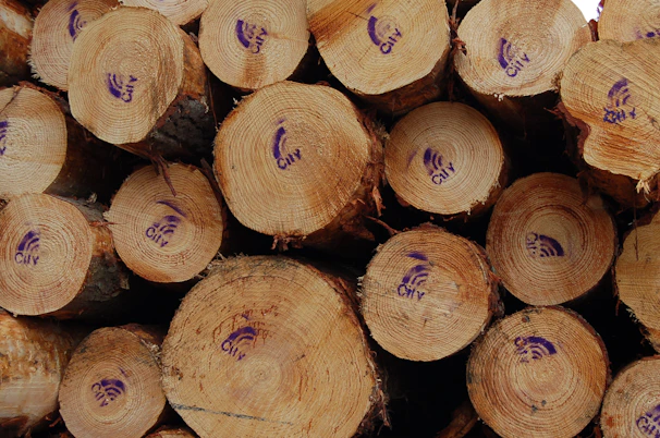 Marking process on a wooden pallet with clear ISPM certification stamps visible
