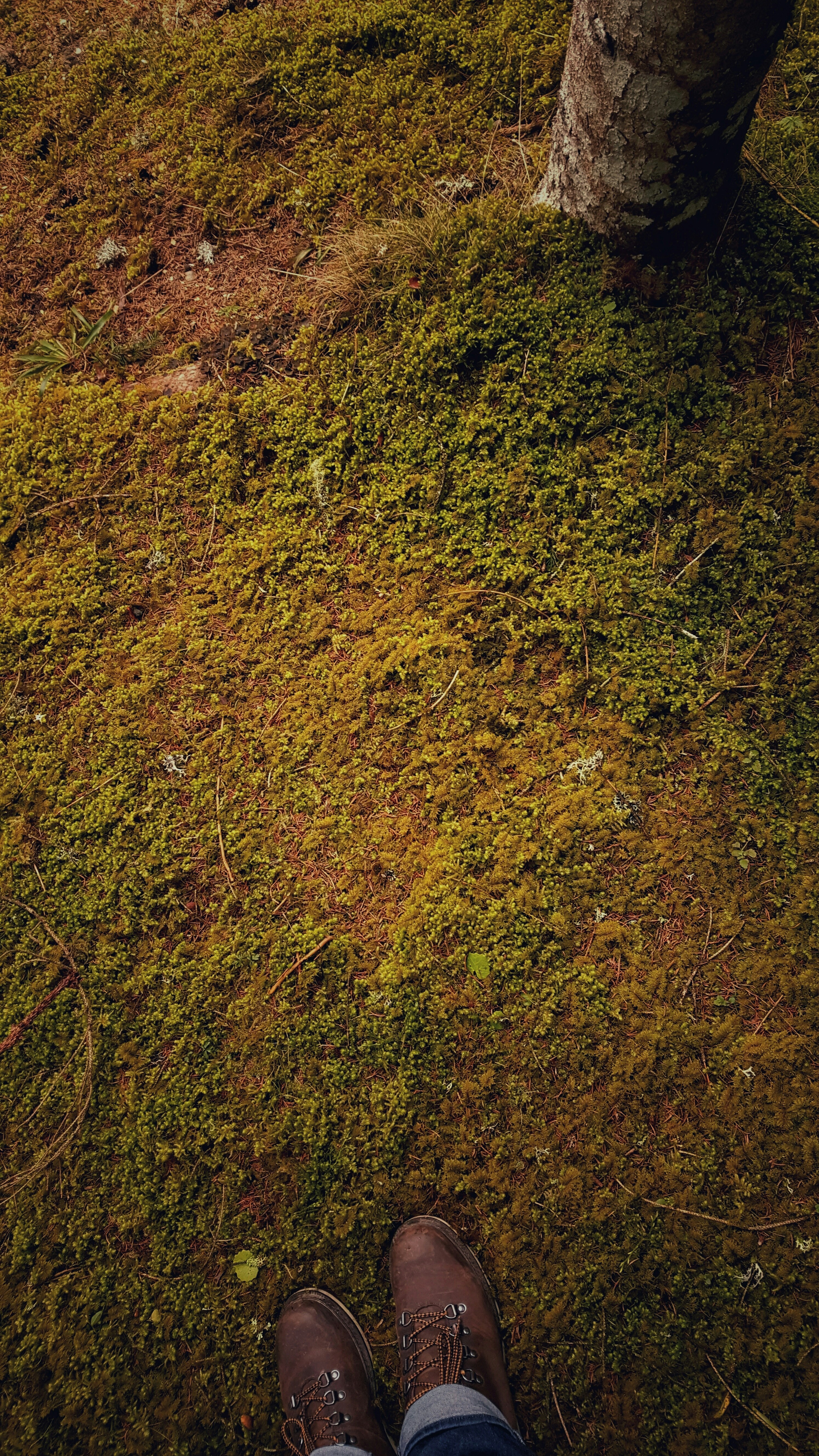 Free Unsplash photo from Edin Ibrahimi