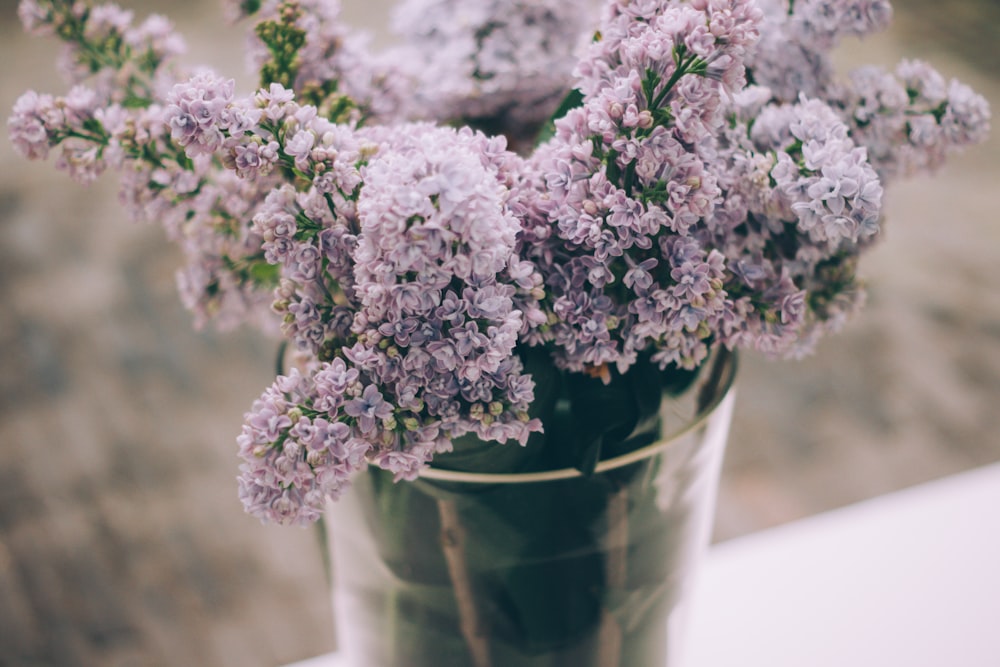 fiori a grappolo viola su vaso di vetro trasparente