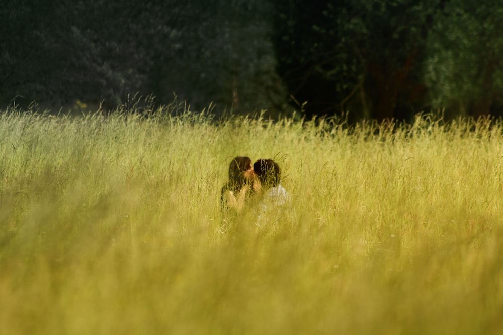 man and woman kissing in the middle of a grass field