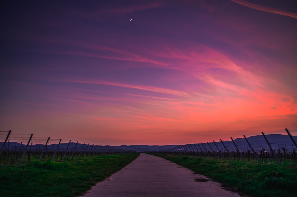 green grass field during sunset