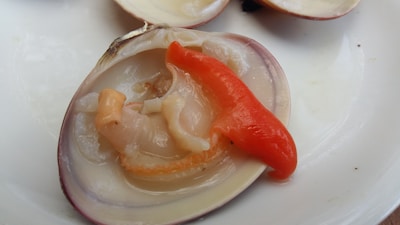 An open clam shell containing a portion of seafood and a reddish-orange piece, possibly a type of pepper or garnish, placed on a white surface.