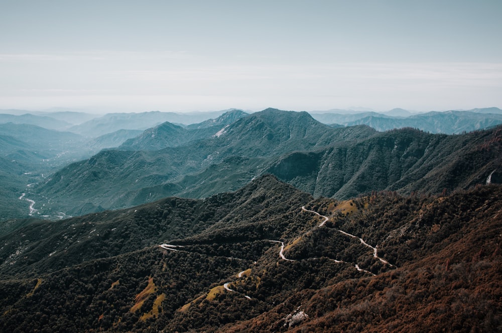 산에 갈색 숲