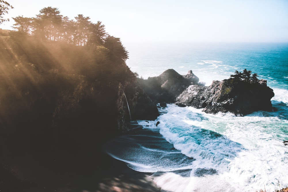 beach shore during daytime