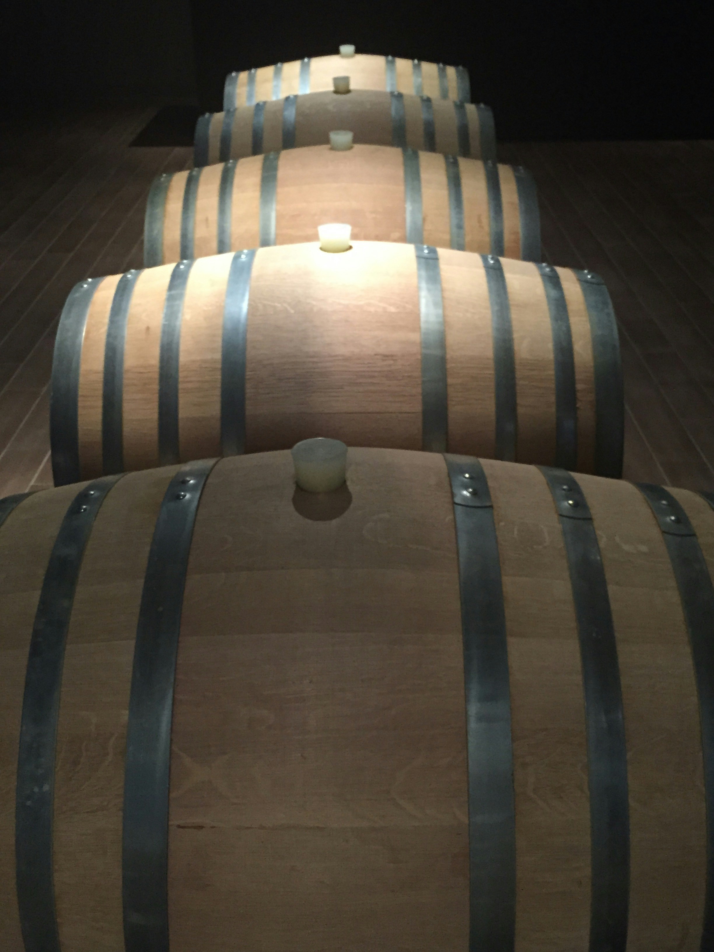 Free Unsplash photo from Bill Stanwick