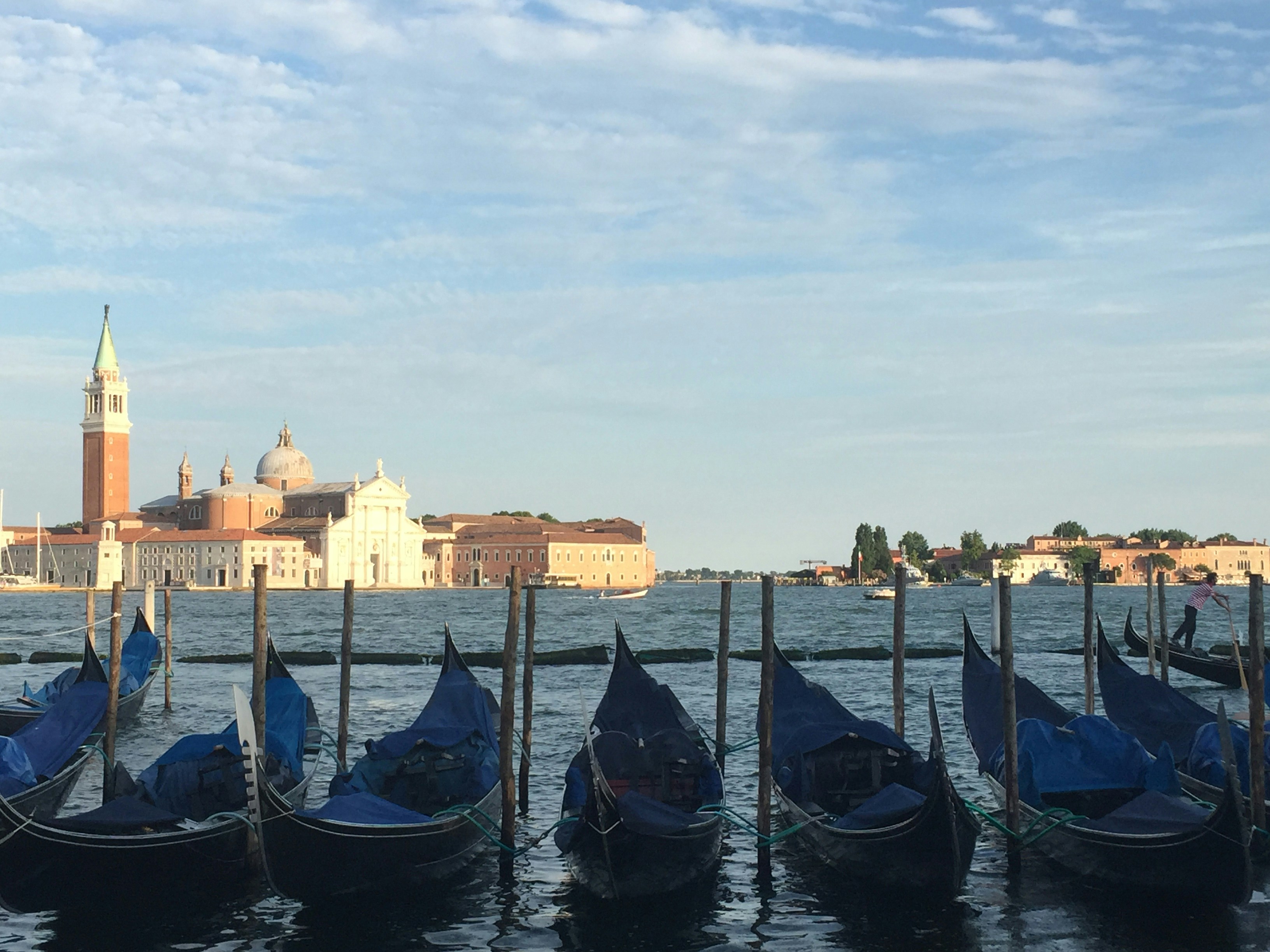 Free Unsplash photo from Bill Stanwick