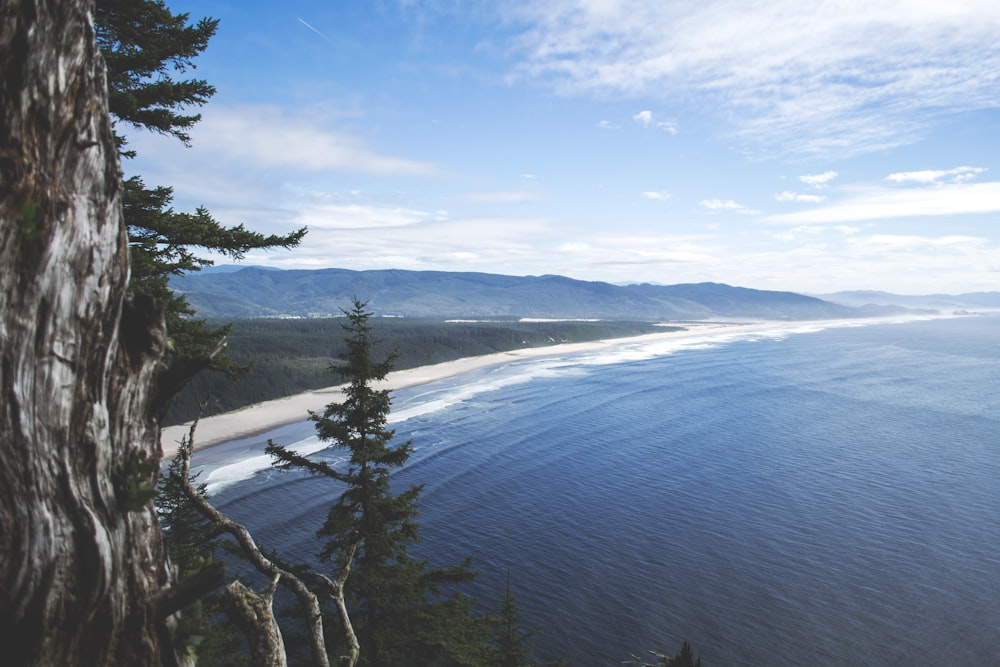 white sand beach near green mountain photo