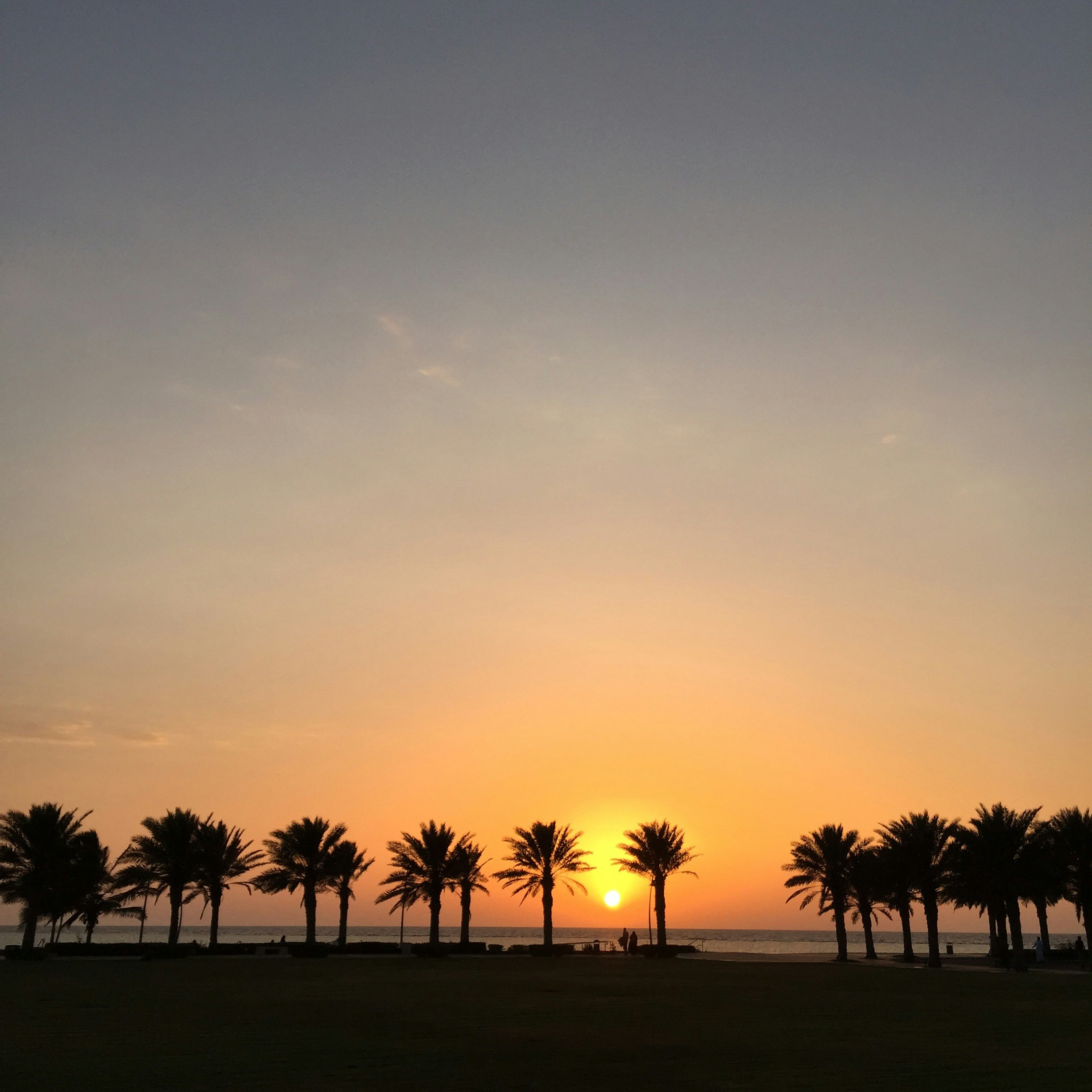 Free Unsplash photo from Fuad Alahdal