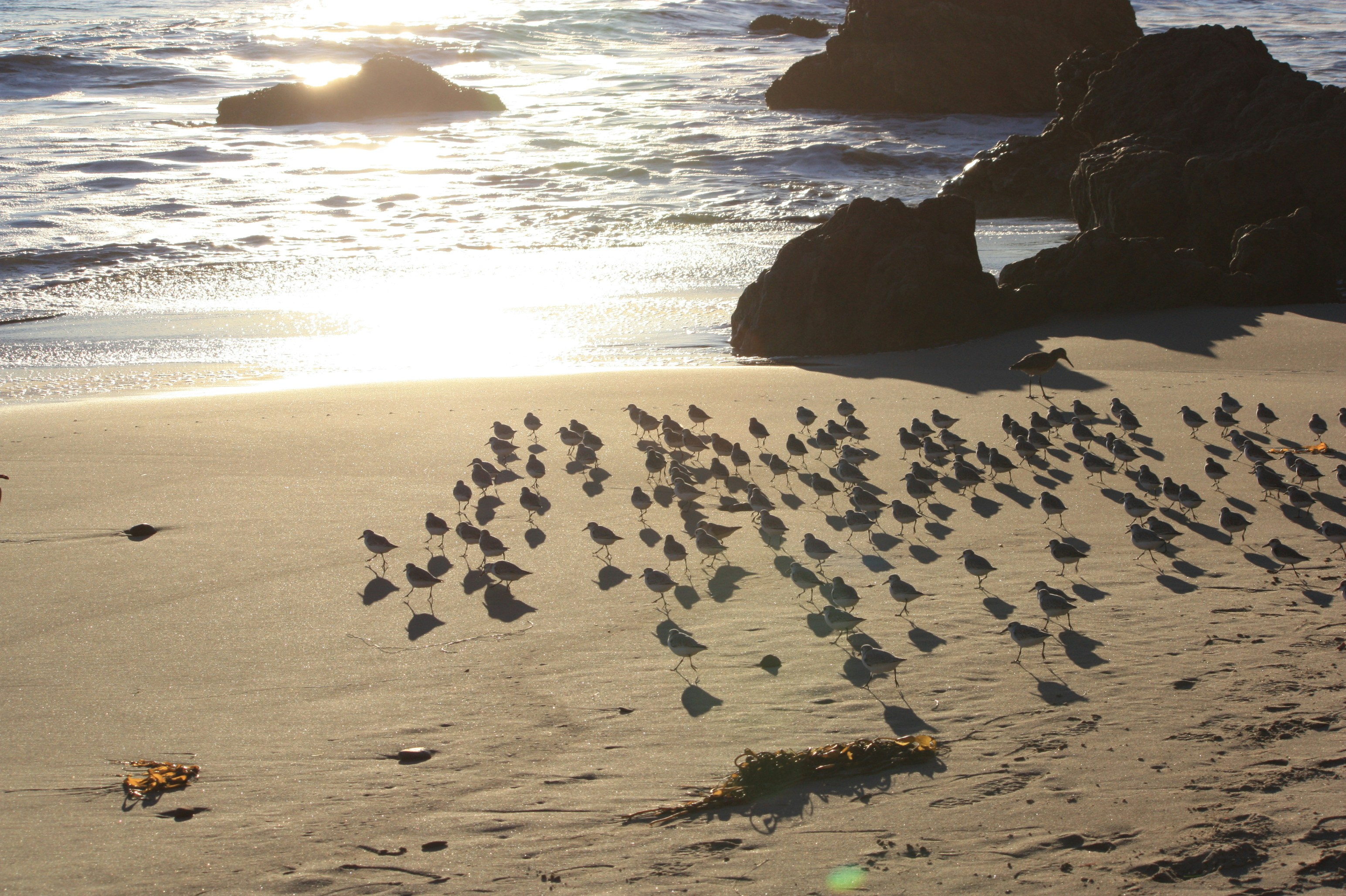 Free Unsplash photo from Igor Morozov