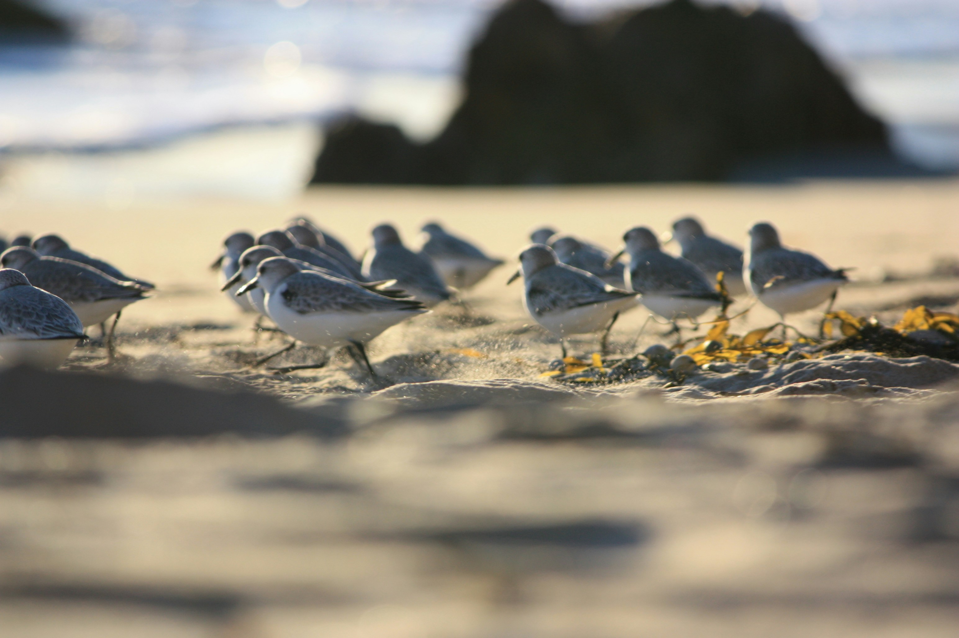 Free Unsplash photo from Igor Morozov