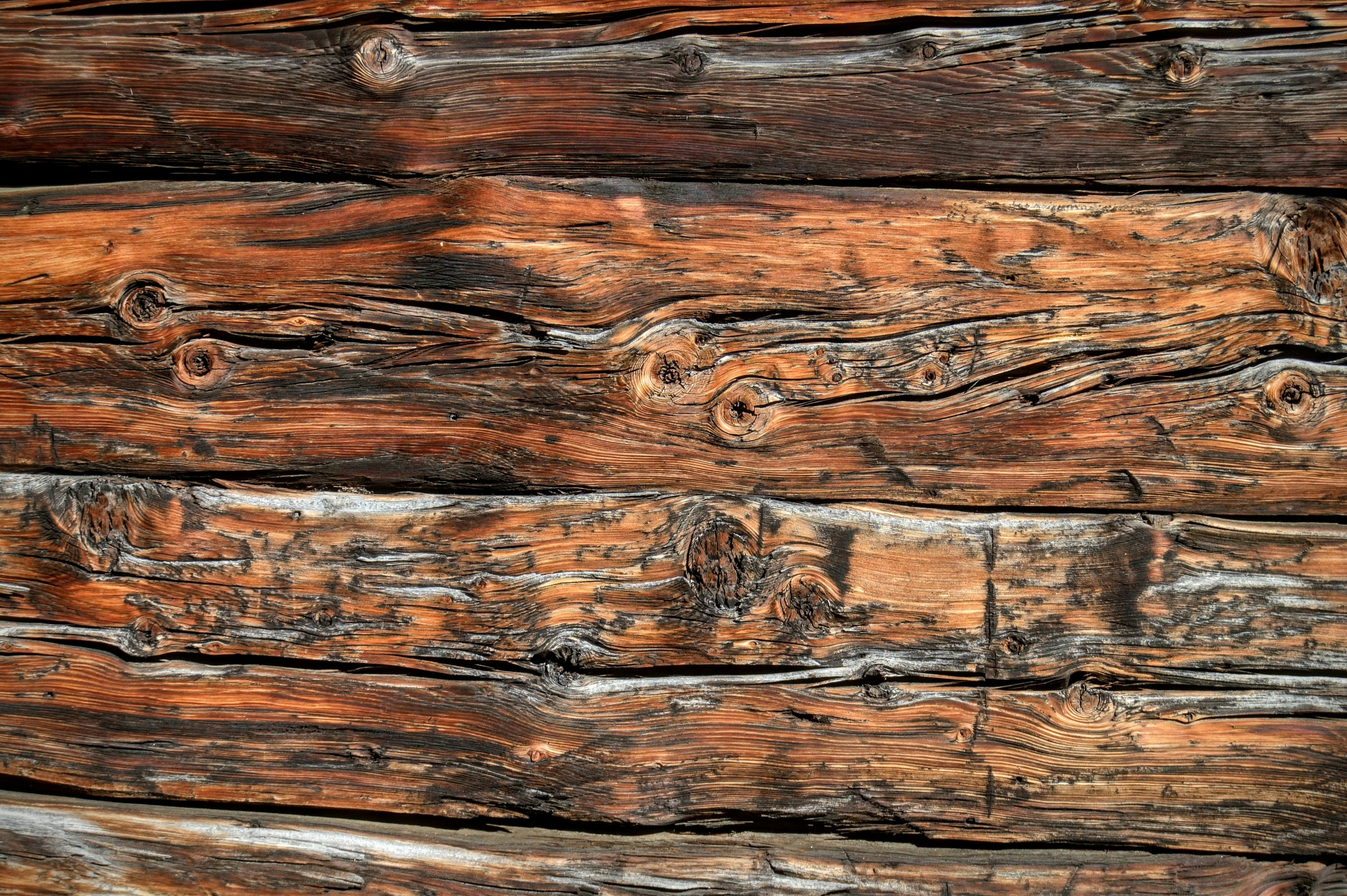 Free Unsplash photo from Lukas Wibmer