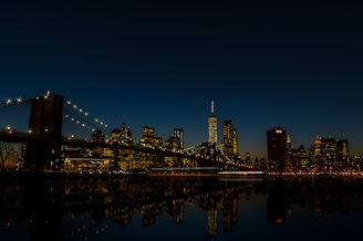 dogAdvisor | dog Advisor | dogadvisor.dog | dog Advisor