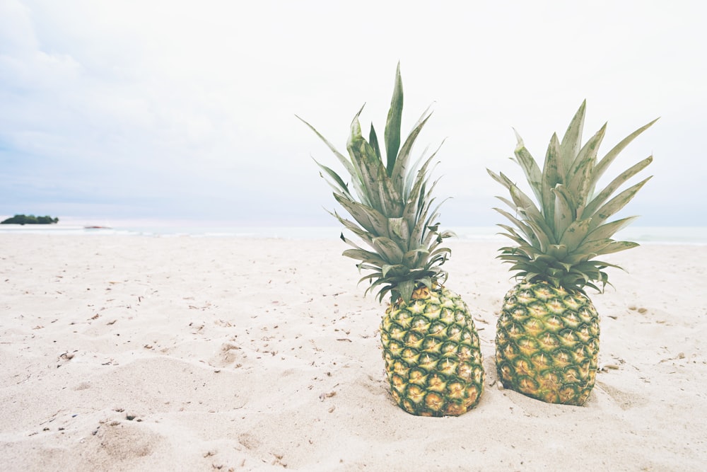 two pineapple fruits on sands