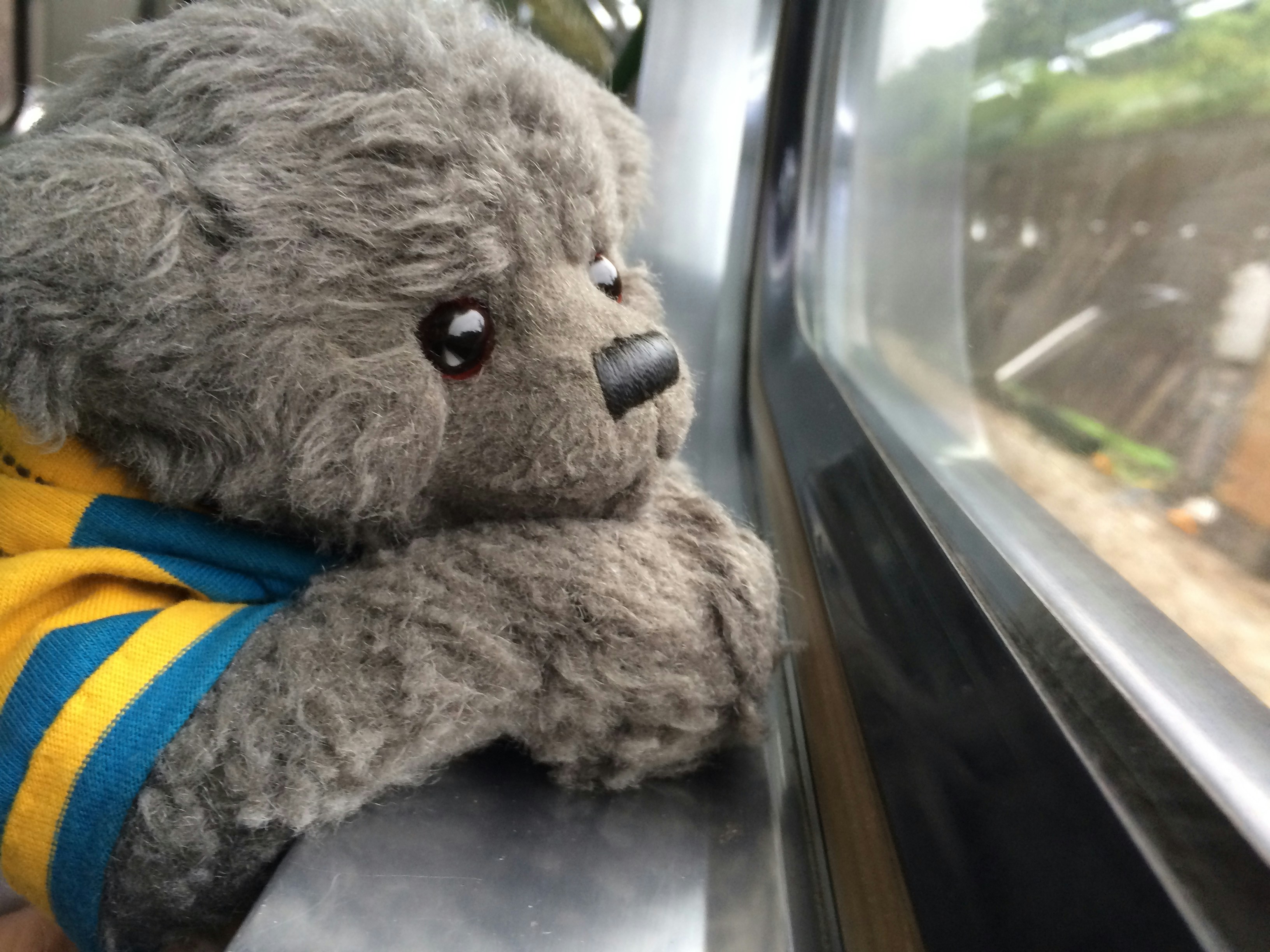 Free Unsplash photo from cindy hsu