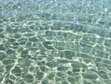 Clear water with visible ripples creating intricate patterns on the surface, reflecting sunlight in varying shades.
