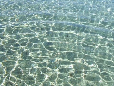 Clear water with visible ripples creating intricate patterns on the surface, reflecting sunlight in varying shades.