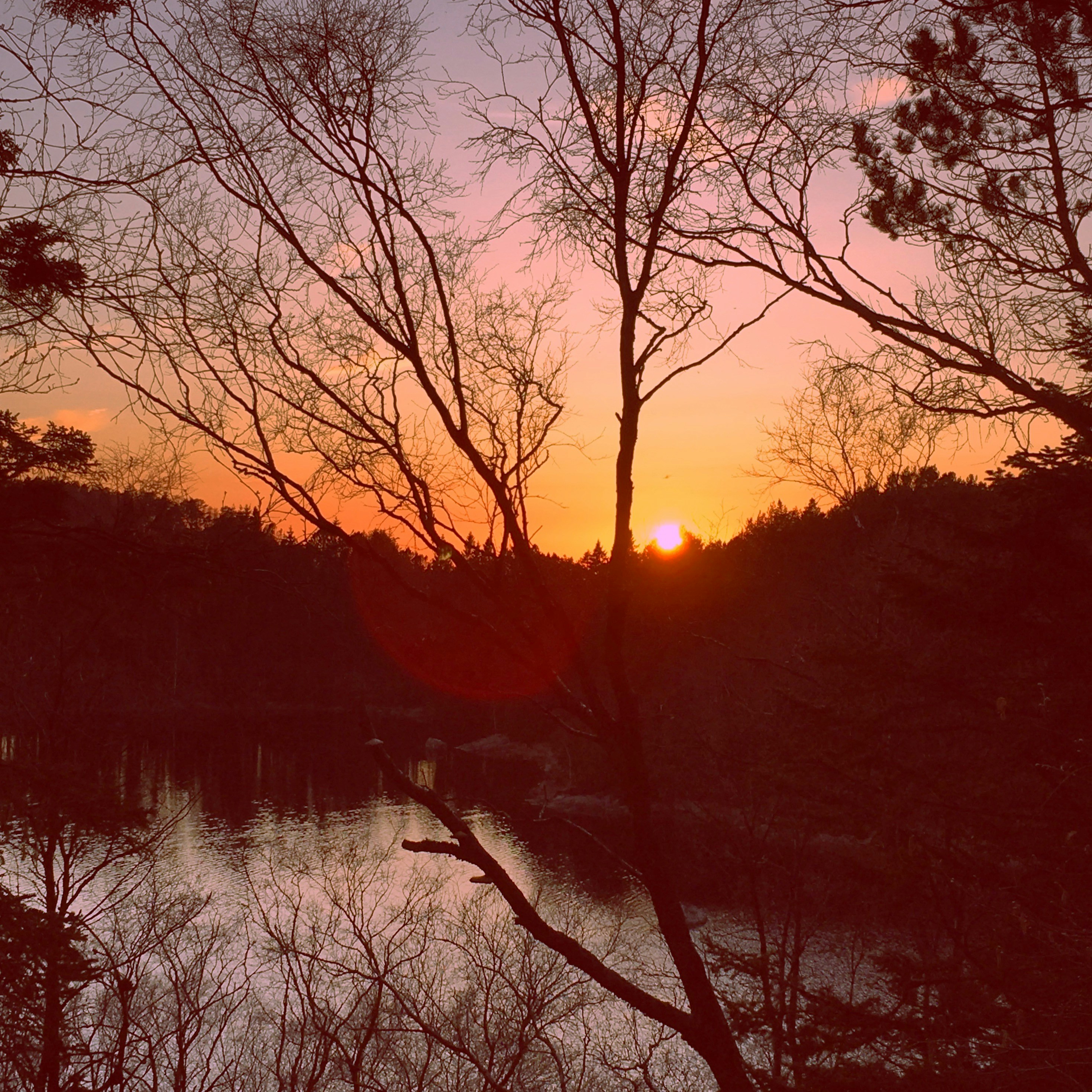 Free Unsplash photo from Kari Larssen