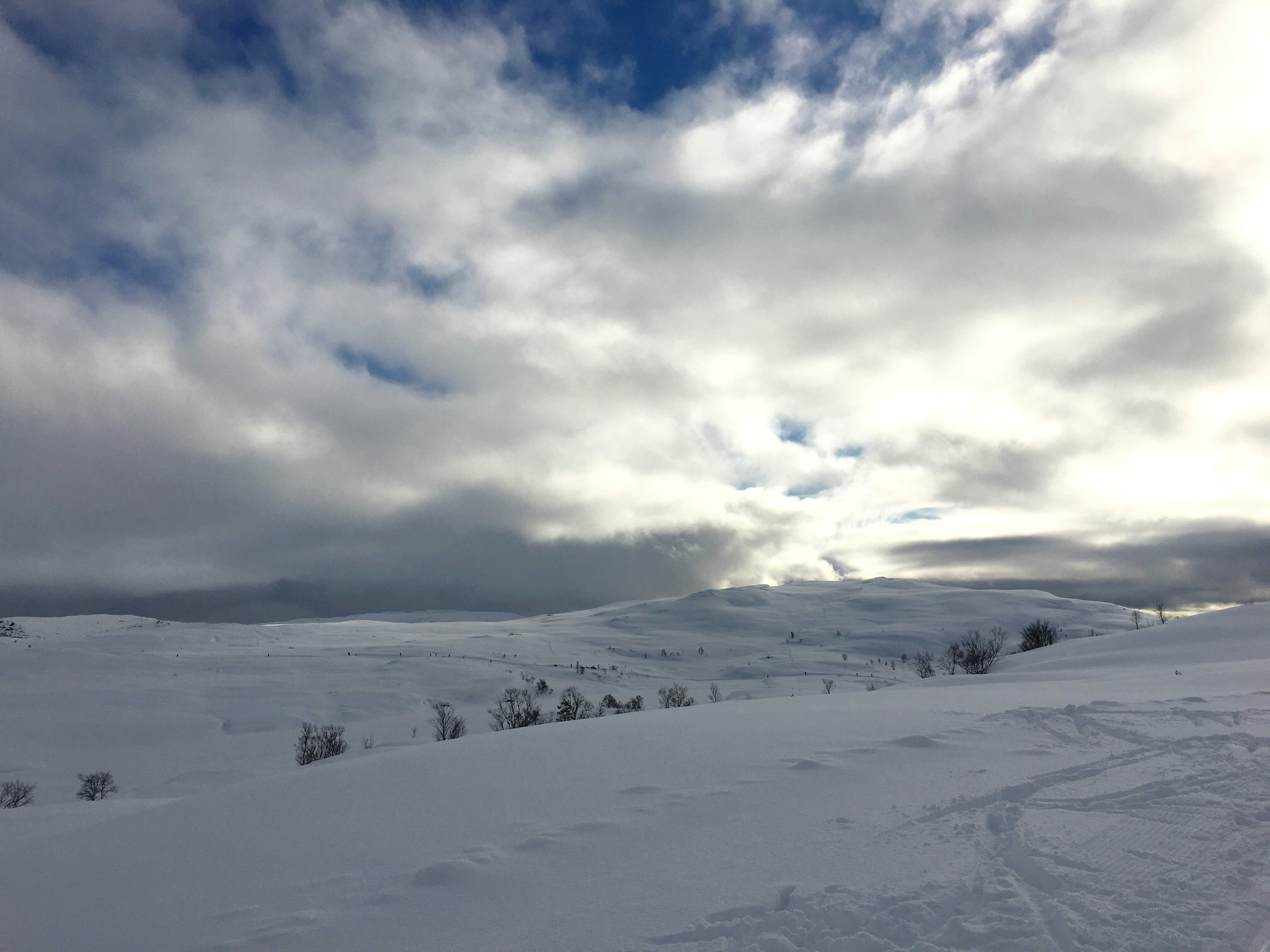 Free Unsplash photo from Kari Larssen