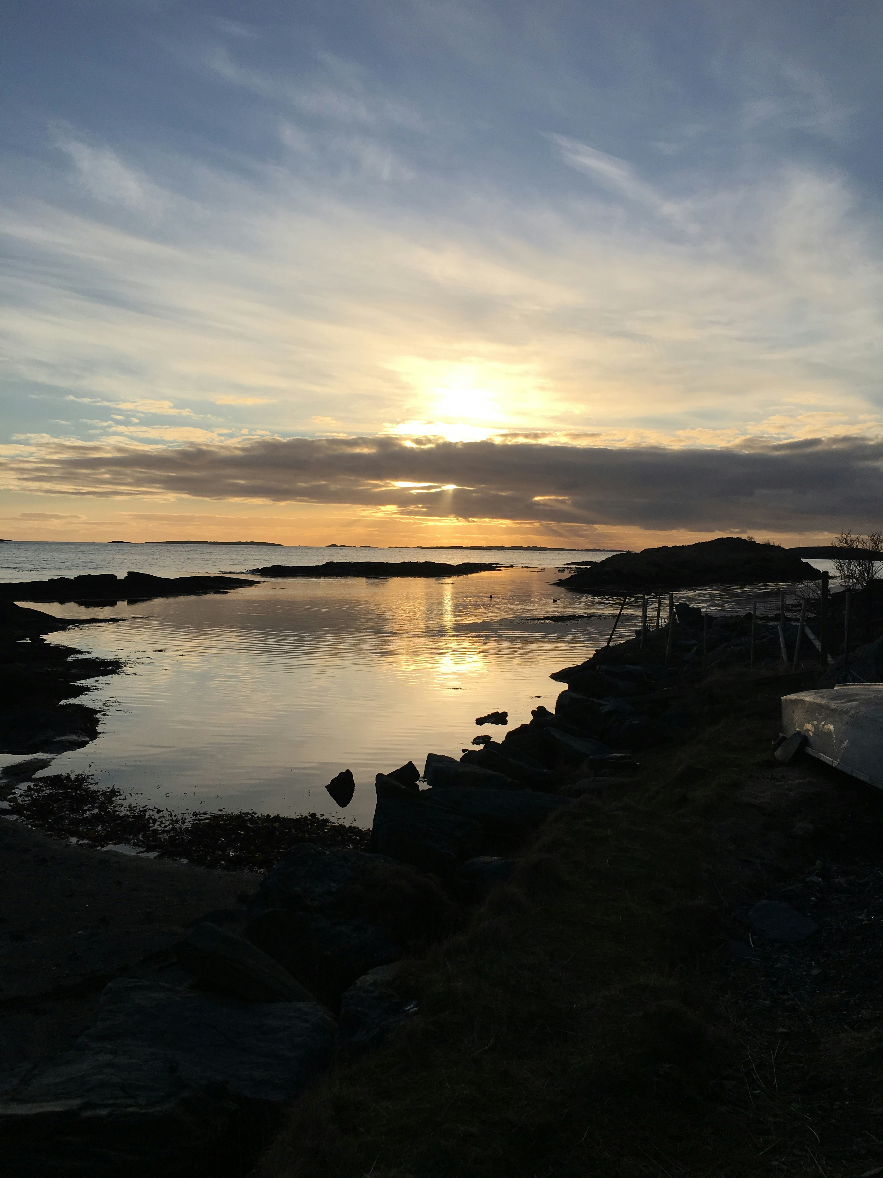 Free Unsplash photo from Kari Larssen