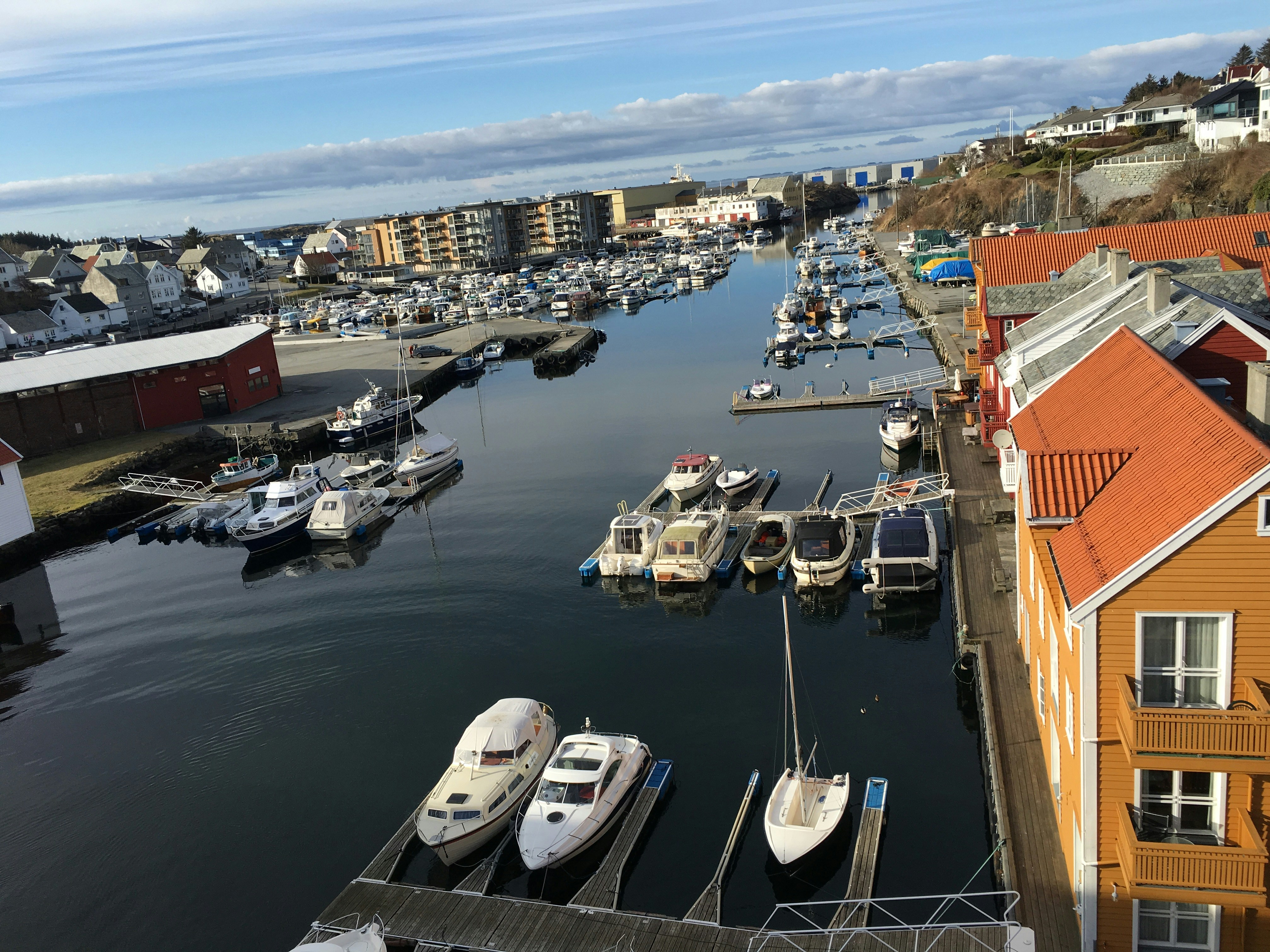 Free Unsplash photo from Kari Larssen