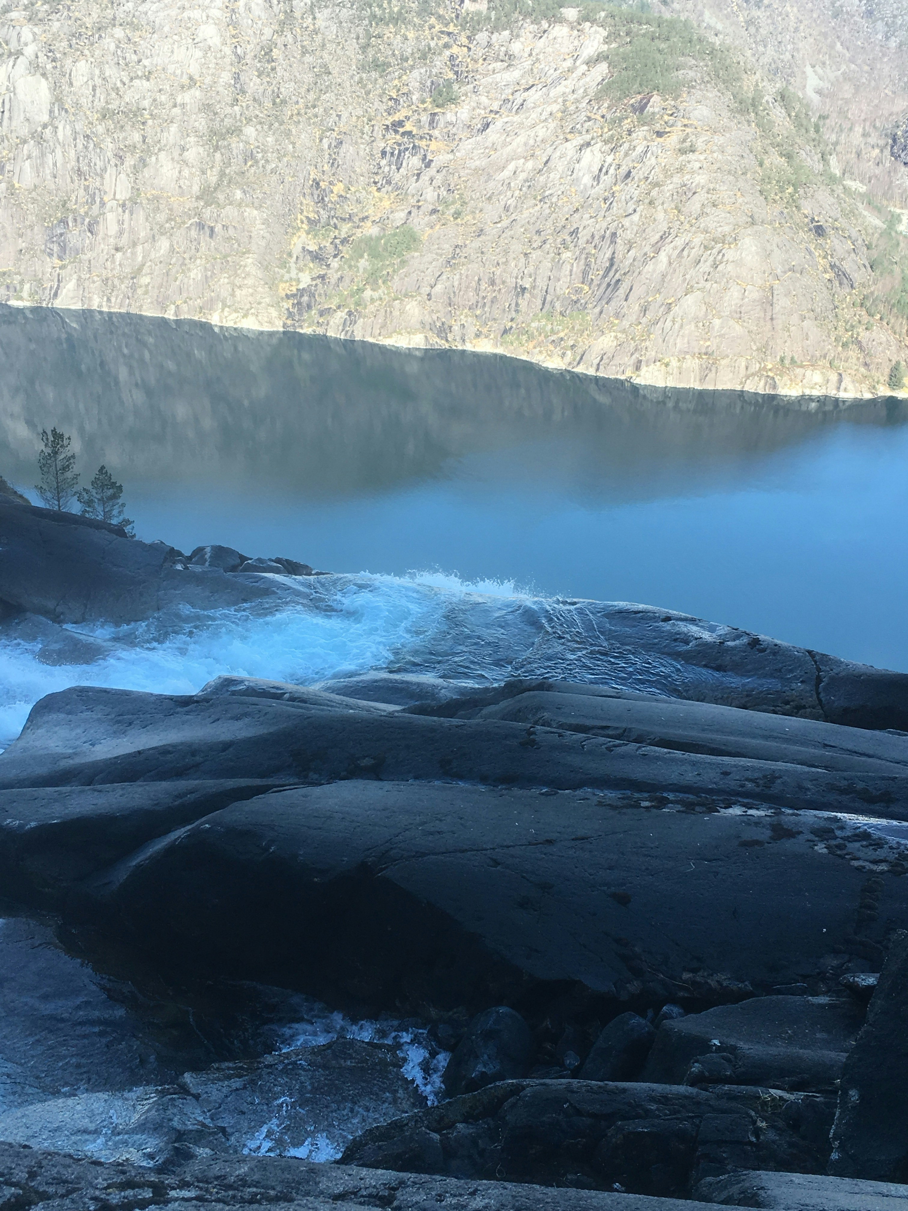 Free Unsplash photo from Kari Larssen