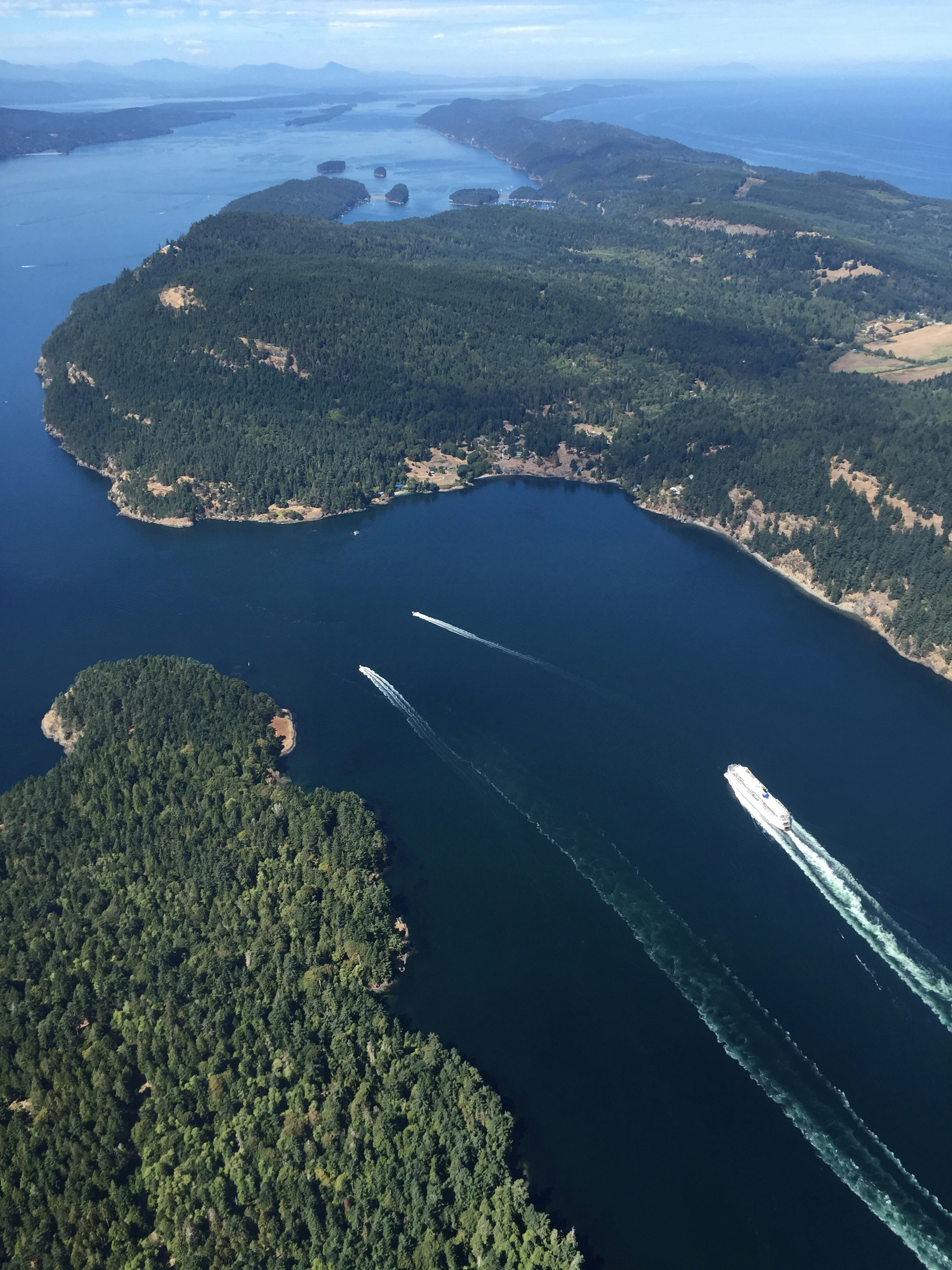 Free Unsplash photo from Jake Yan