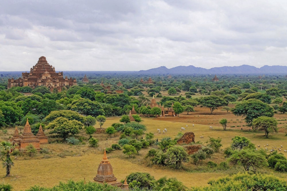 Ankor Wat, Cambodia