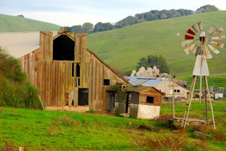 A rustic, weathered barn and windmill stand amidst rolling green hills and open fields. The barn is constructed from old, wooden planks, with some sections appearing to be in disrepair. Nearby structures, likely part of the farm complex, integrate with the pastoral landscape. Vegetation is lush, with grass covering the foreground and distant trees adding depth.