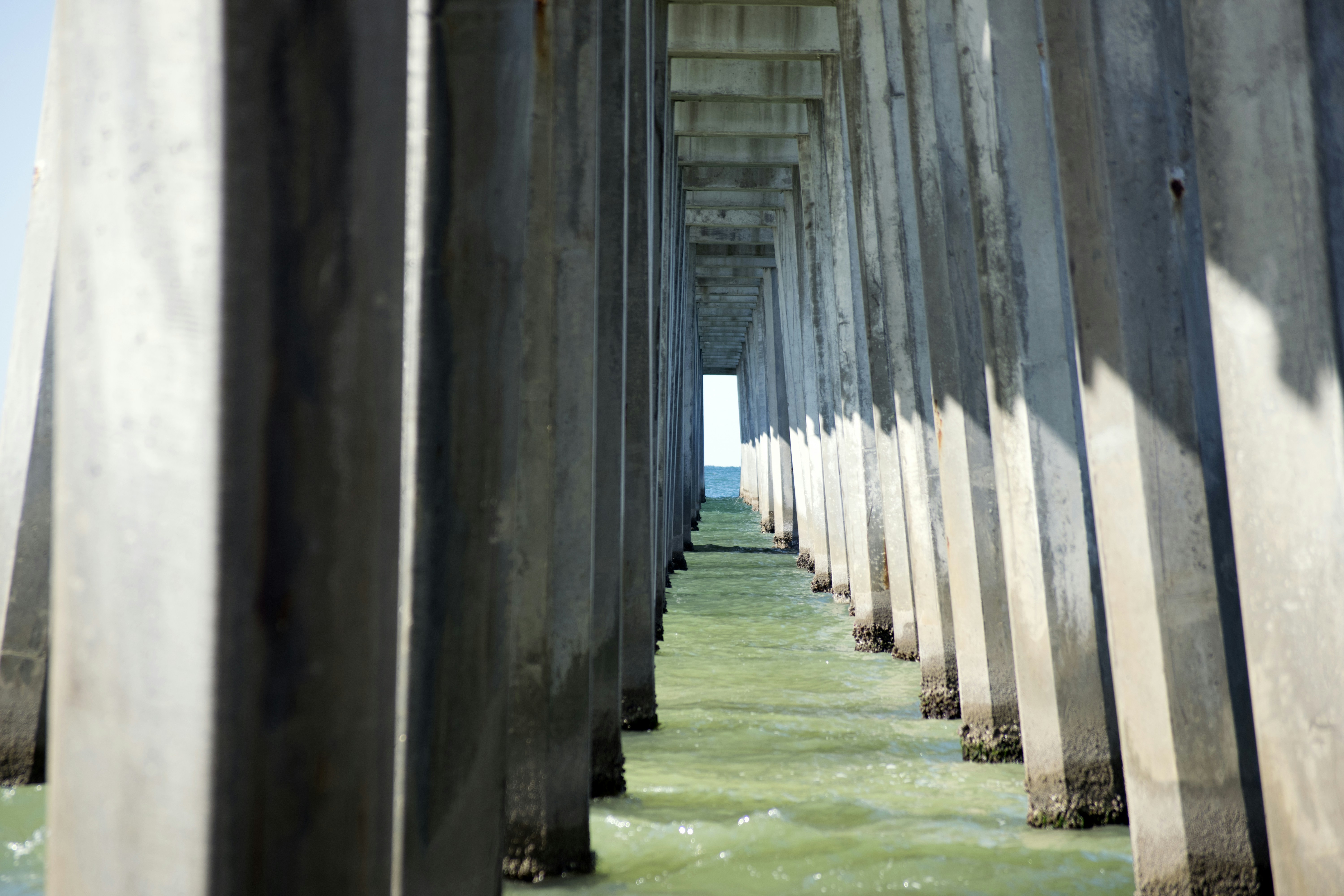 Free Unsplash photo from Tomas Salas