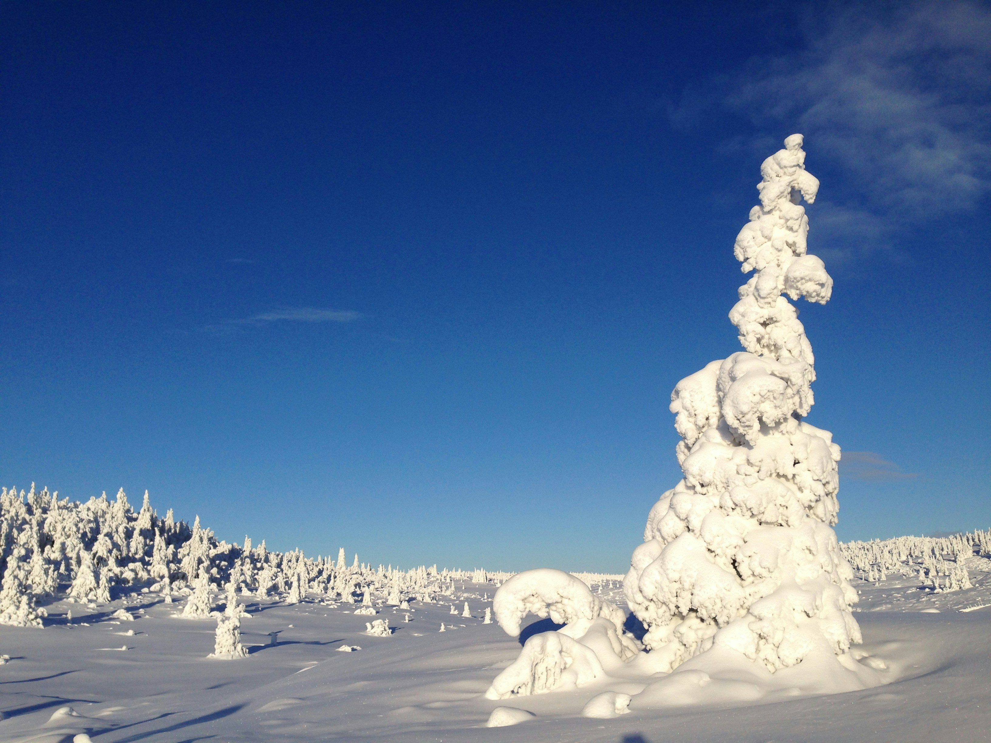 Free Unsplash photo from Merete Rindal