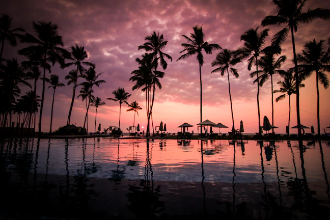 Welcoming resort entrance framed by tall palm trees at sunset.