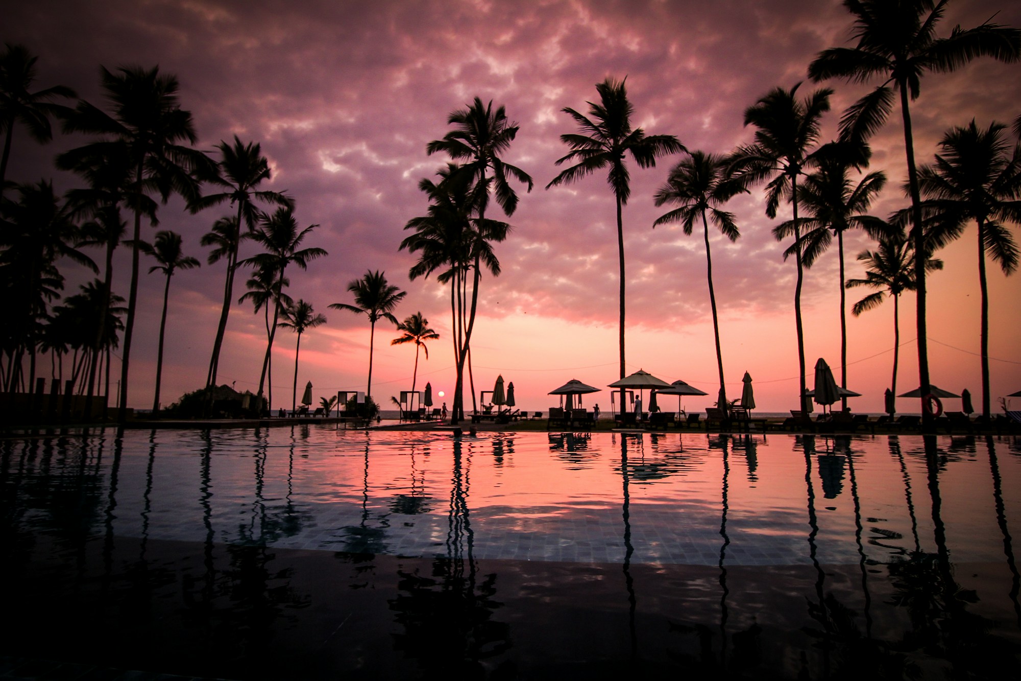 Palm-lined infinity pool at a luxury beach resort at sunset, with shaded loungers and umbrellas facing the ocean