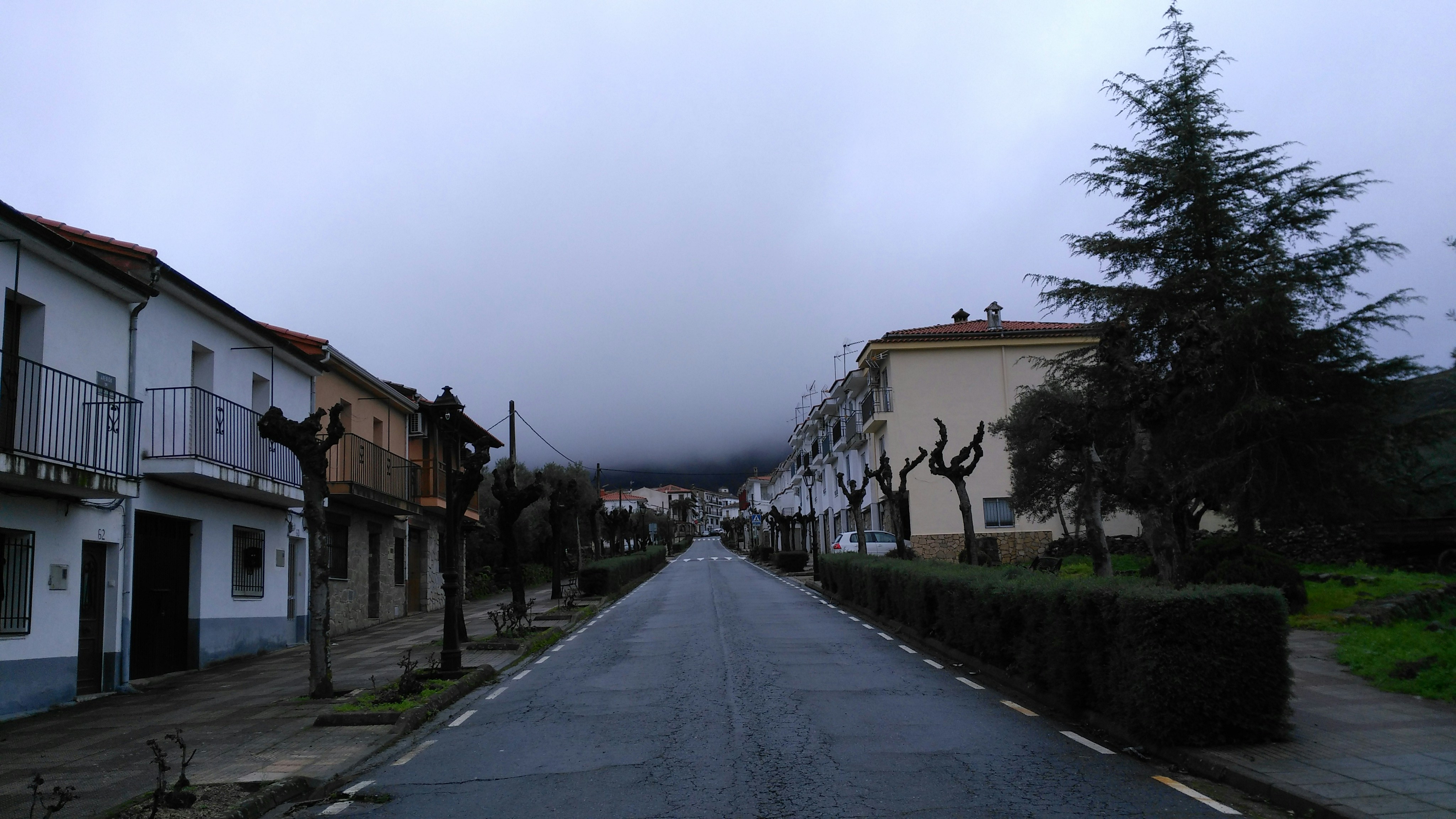 Free Unsplash photo from pedrito pedro