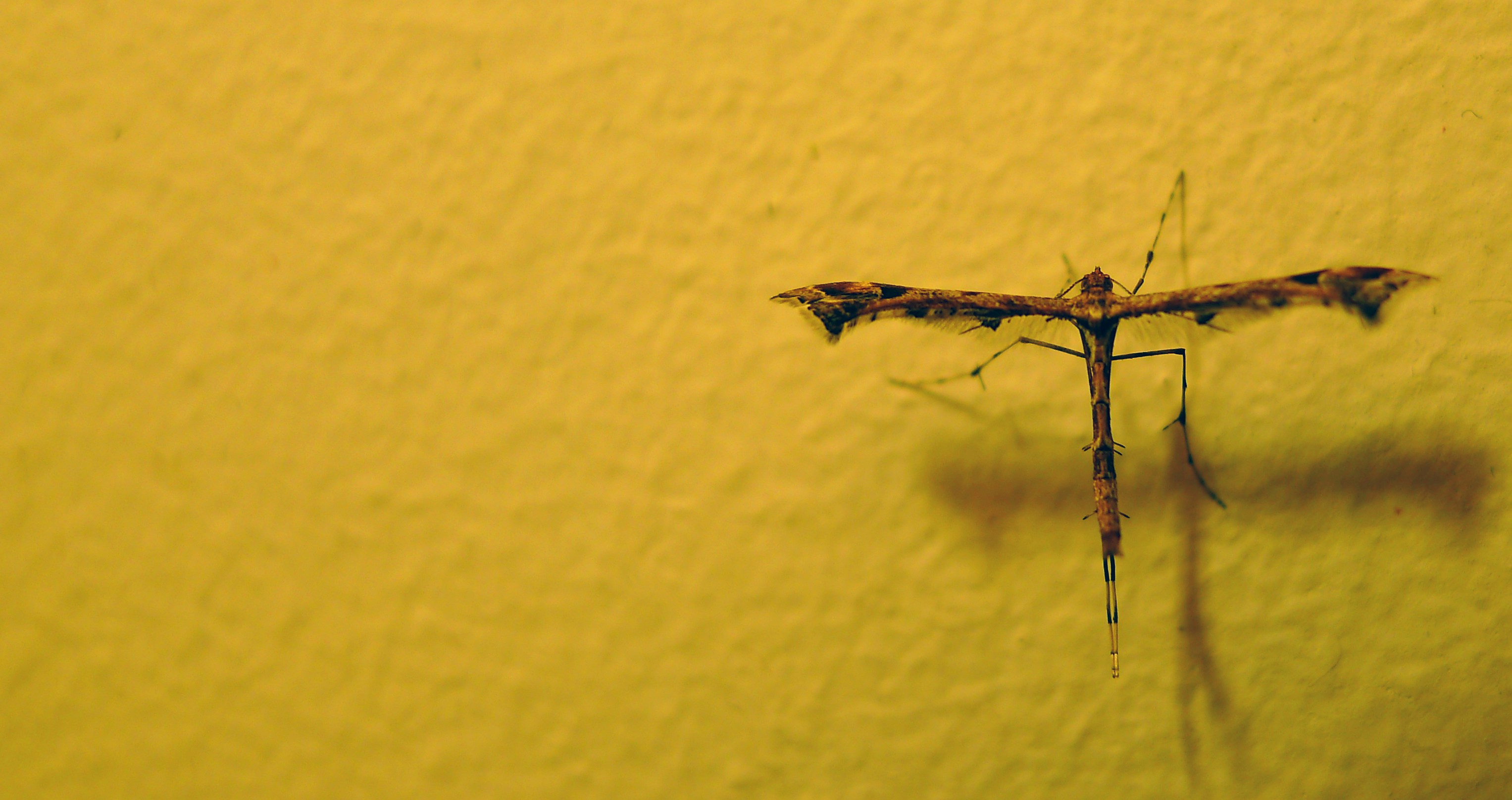 Free Unsplash photo from Panos Papadimas