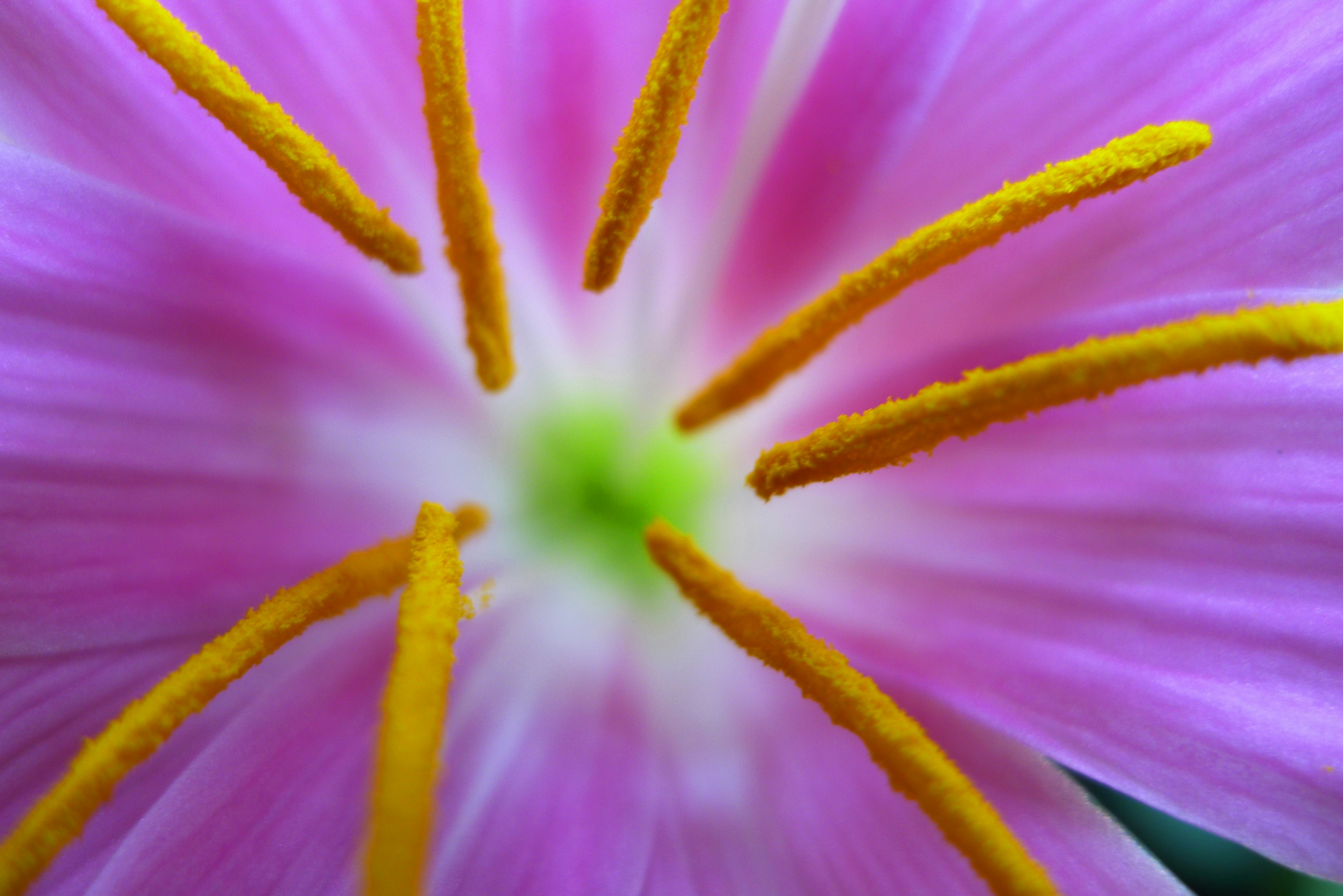 Free Unsplash photo from Panos Papadimas