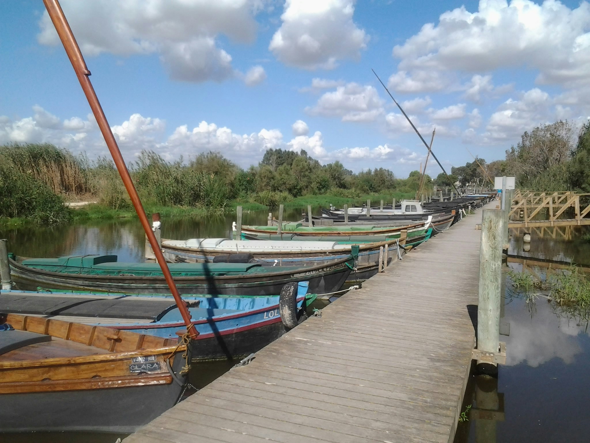 Free Unsplash photo from Leonor Benet Ruza