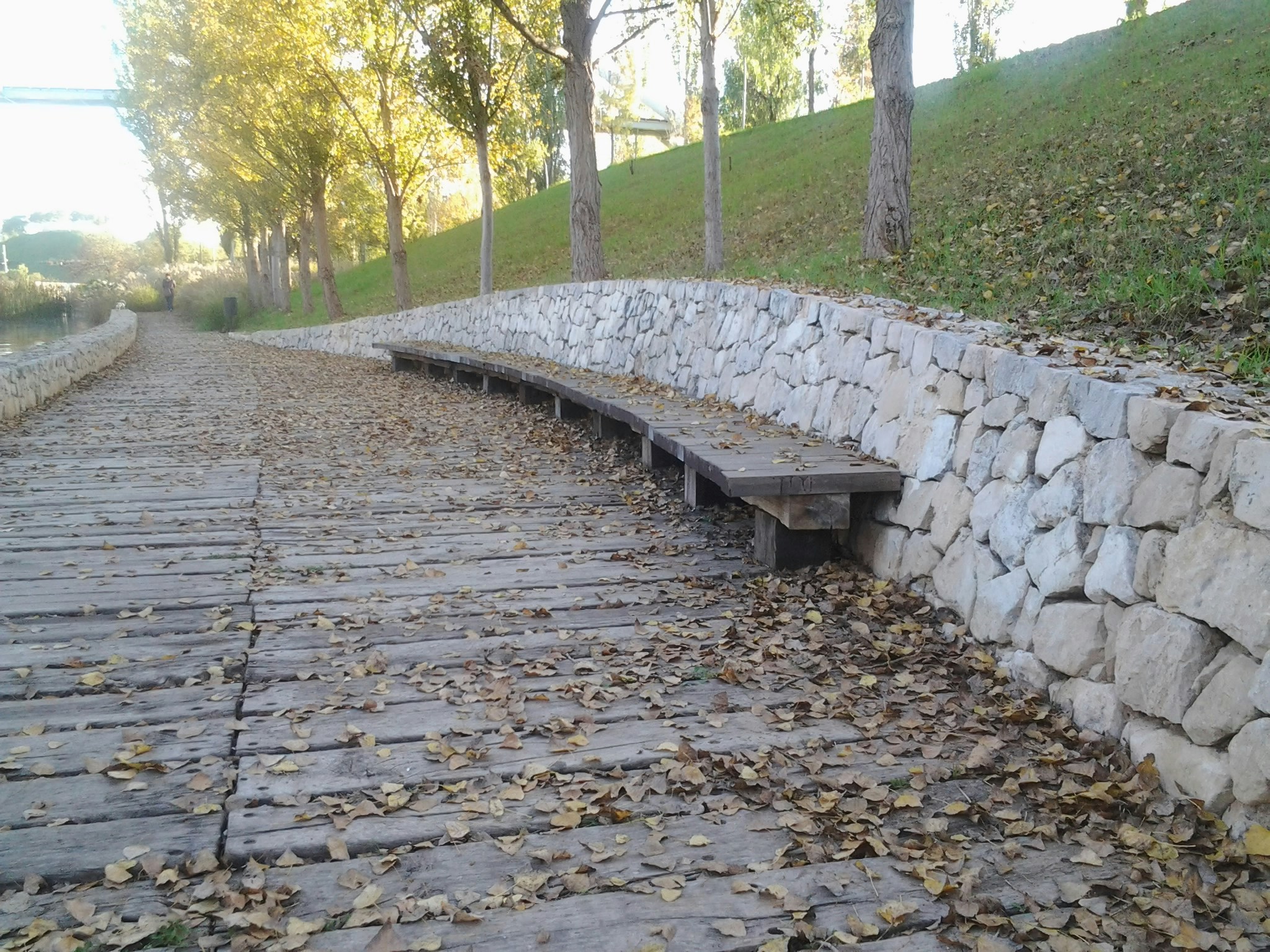 Free Unsplash photo from Leonor Benet Ruza