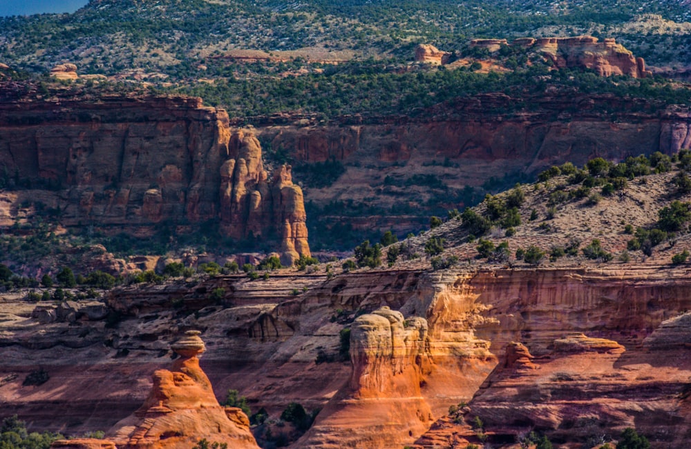 Fotografía de las Montañas Rocosas