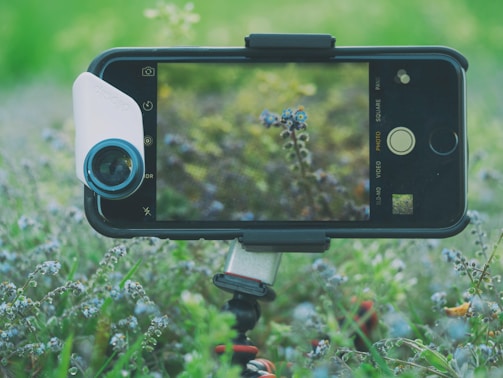 A close-up shot of a smartphone on a tripod capturing an image of a small flower in a field. The smartphone has an additional lens attachment, and the screen displays the image of the flower in focus.