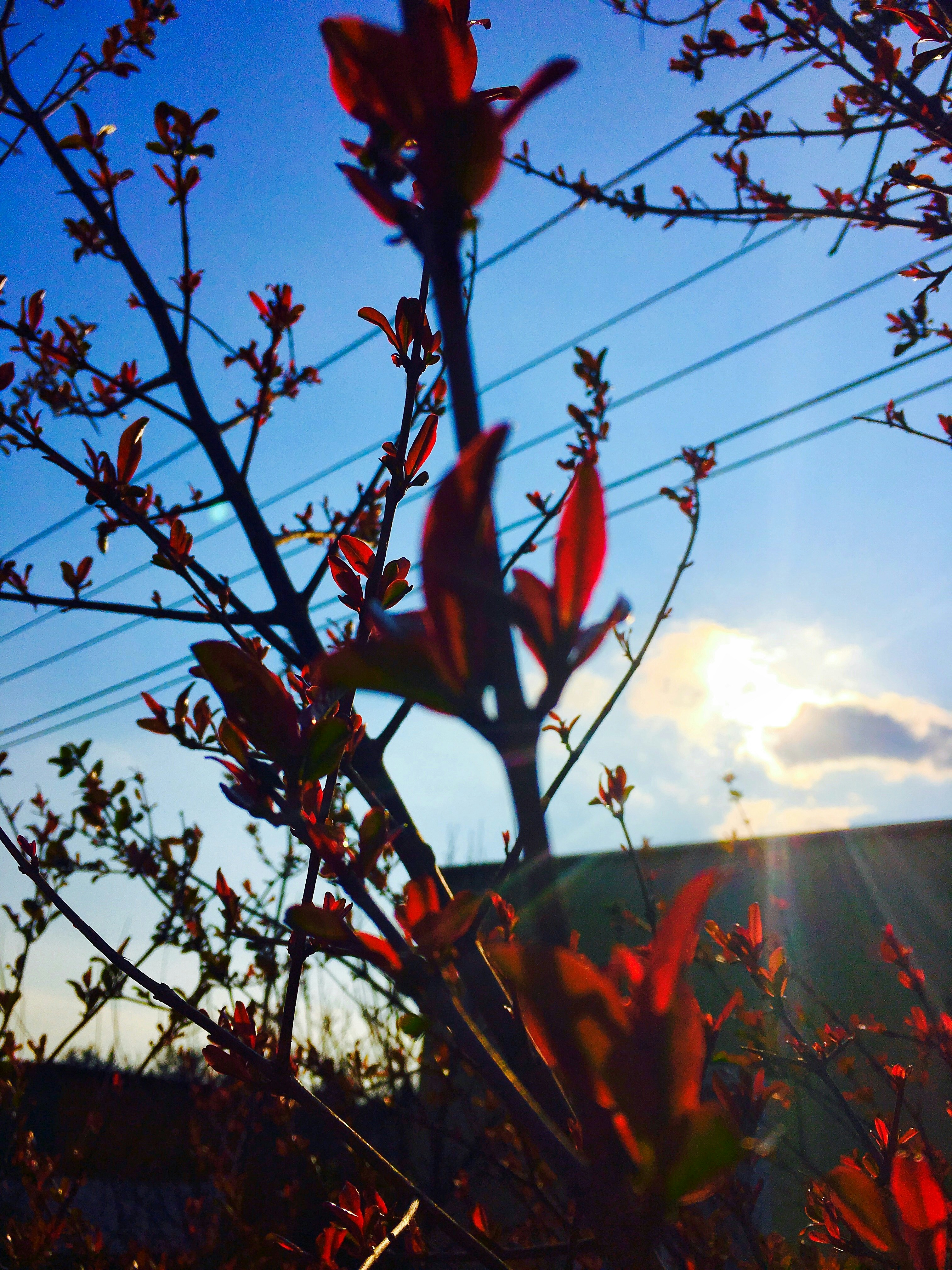 Free Unsplash photo from MEHMET CAN BALIK